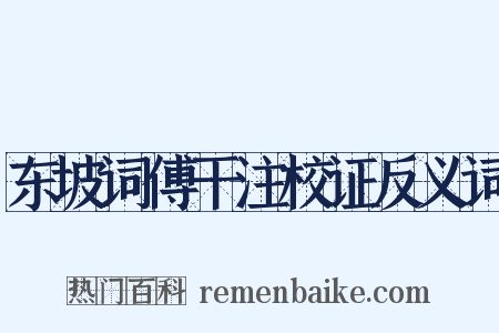 东坡词傅干注校证反义词是什么意思的图片
